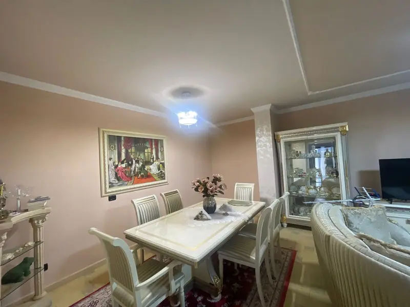 Apartament i gjerë 3+1, 2/19