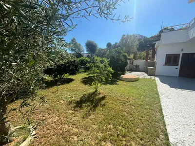 Spacious 2+1 apartment, 21/22