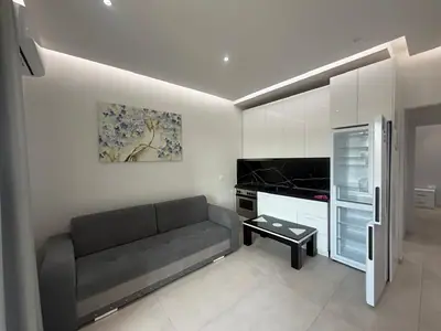 Apartament 1+1